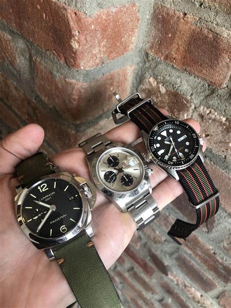 panerai or tudor